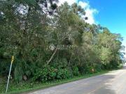 Três terrenos localizados no Bairro São Bernardo em São...