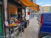 TRESPASSE FRUTARIA EM ALVALADE