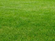 Trévières Vente Terrain 14