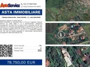 Tribinale Civitavecchia Ruolo 19/2024 L1 Tribinale...