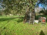 Tribunale di Salerno RG 162/2023 Terreno in asta