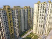 Trident Embassy Phase 1,Noida Extension 3 BHK Apartment...