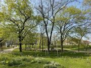 Trillerpark Exklusive 3 Zimmer Gartenwohnung mit Loggia,...