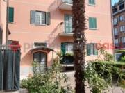 Trilocale Con Cucina Abitabile Trilocale Con Cucina Abitabile