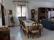 Trilocale con giardino in via dei tigli 14, Solaro