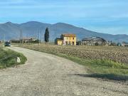 Trilocale con giardino, Cascina marciana