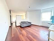 Trilocale in affitto