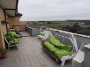 Trilocale in affitto