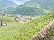 Trilocale in affitto a Bolzano, Rencio