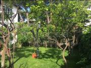 Trilocale in affitto a Bordighera via Serena