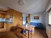 Trilocale in affitto a Firenze, Cintoia Le Torri