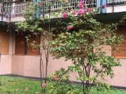 Trilocale in affitto a Milano piazza Imperatore Tito,...