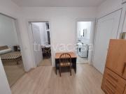 Trilocale in affitto a Pavia, Stazione Ticinello