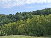 Trilocale in vendita a Novafeltria