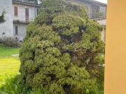 Trilocale in vendita a Piacenza, Pubblico Passeggio