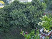 Trilocale in vendita a Pietra Ligure, 1 km dalle spiagge