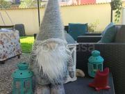 Trilocale in vendita a Roma, Torrevecchia