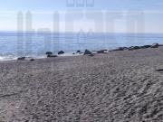 Trilocale in vendita in via nazionale briga marina, Messina