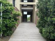 TRINIDAD 500 | KCP1177