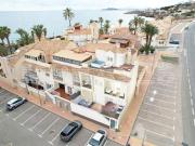 TRÍPEX EN ISLA PLANA A 50 M DE LA PLAYA