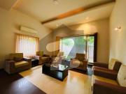 Triple Storey Fully Furnished Luxurious House Available...