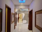 Triple story luxury House For Rent size 40*80 Triple story luxury House For Rent size 40*80