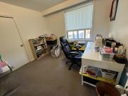 Triplex Property
