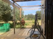 Trouvez votre ferme à acheter à Route de Fez. Surface de...