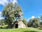 Trullo in vendita a Fasano