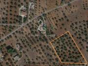 Trullo in vendita a San Vito dei Normanni