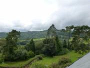 Trusham, Newton Abbot