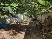 Tu Canvas en Merida Centro Santiago