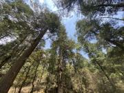 Tu Refugio Está Aquí – Bienvenido a Las Flores