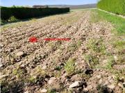 Tu Refugio Natural te Espera en la Carretera de Ibeas...