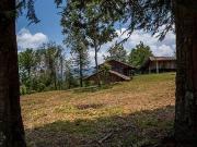 Tu Refugio Rústico a Unos Pasos de la Autopista