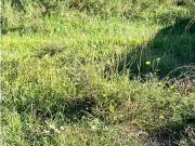 Tu terreno tan cerca de la ciudad. Tu terreno tan cerca de la ciudad.