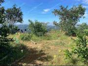RUSH SALE Tuba Agricultural Farm lot overlooking...