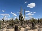 Tucson AZ 85742 95705837