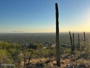 Tucson AZ 85749 96747245