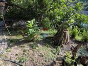 Tumbaco, intervalles suite rustica de renta