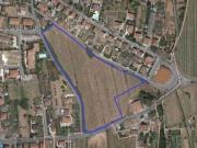 Tuoro Sul Trasimeno Umbria 96308966