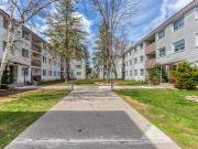 TVM COURTYARD INC