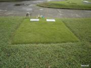Twin Lots Memorial Park
