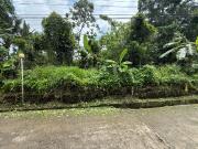 TWO 1,132 sqm Lots in Brgy. Maitim 1st, Amadeo Cavite...