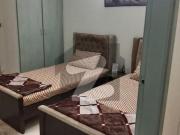 Two bed furnished flat available for rent E 11 Two bed furnished flat available for rent E 11