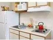 Two Bed Studio Apt Monthly Fully Furnished/No Lease/Move...
