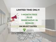 Two Bedroom Apartment