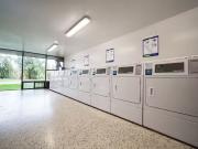 Two Bedroom Apartment Toronto Pet Friendly Apartment For...