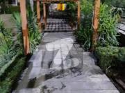 Two Bedroom Tv lounge corner park face Apartment...