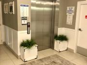 Two bedrooms two bathrooms your escape to Paradise